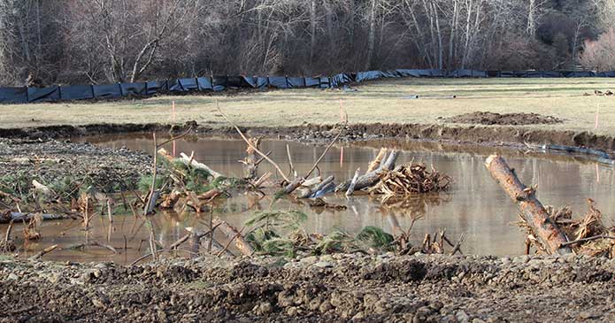 Fish Passage Improvements