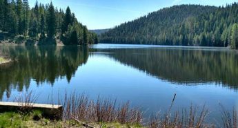 Beaver Creek Dam Fish Passage