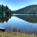 Beaver Creek Dam Fish Passage